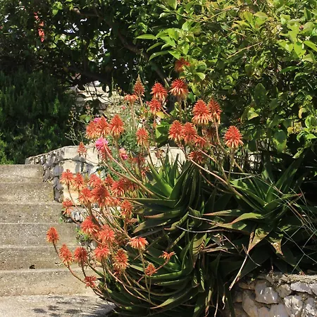 아파트 4440f 룸바르다