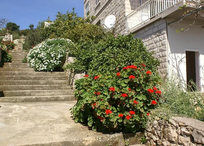 4440f * 룸바르다