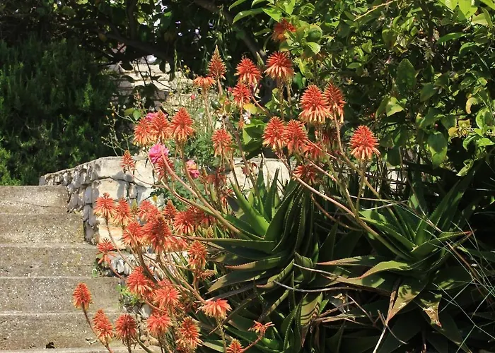 아파트 4440f 룸바르다